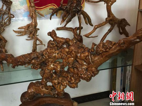 甘肅民間根雕藝人的堅(jiān)持：追求天然 夢(mèng)想辦展覽_油畫(huà)雕塑_